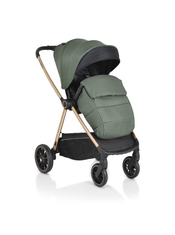 Cangaroo Hydra 2 in 1 in grün