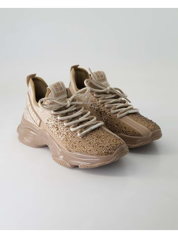 Steve Madden Sneaker low in Bronze