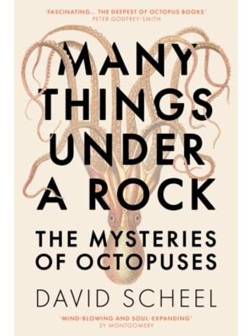 Hodder & Stoughton Buch - Many Things Under a Rock