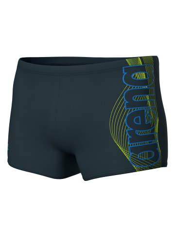 Arena Basic Swim Short in Anthrazit