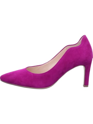 Gabor Pumps in pink