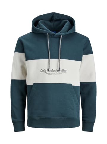 Jack & Jones Hoodie 'Lakewood' in grün