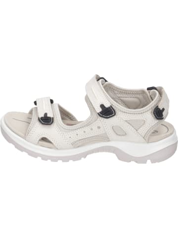 Ecco Outdoor-Sandalen in limestone