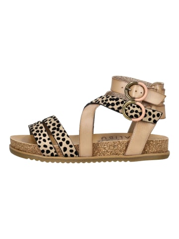 Blowfish Sandalen in Sand