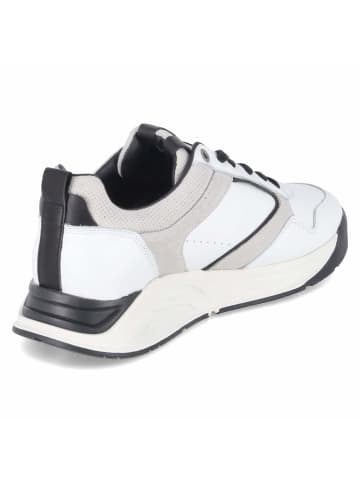 Bullboxer Low Sneaker in weiß