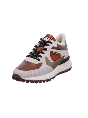 Floris van Bommel Schnürschuh in bronze