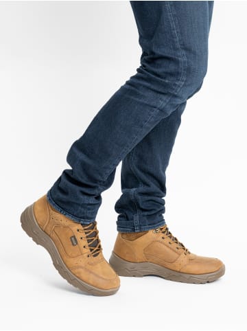 ara Stiefelette in braun