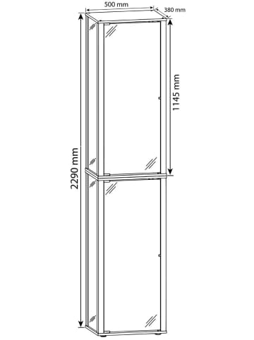 ebuy24 Vitrinenschrank KavisaL 8 Silberfarben 50 x 30 cm