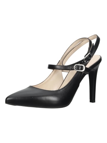 Nero Giardini Pumps in Schwarz