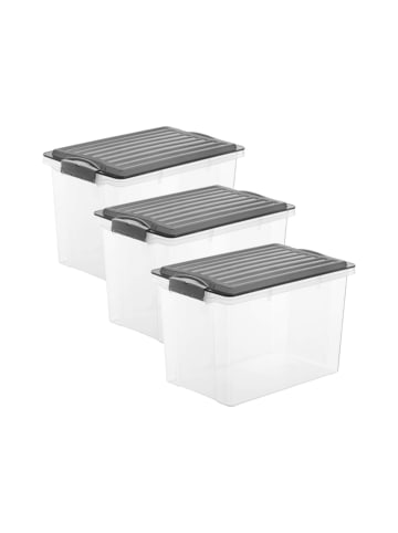 Rotho 3er Set Box DIN A4 Format hoch, 19 l COMPACT