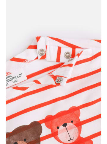 Coccodrillo T-Shirt mit langen Ärmeln in bunt