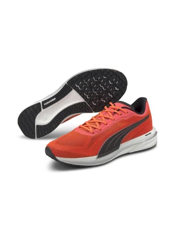 Puma Sneaker in Orange