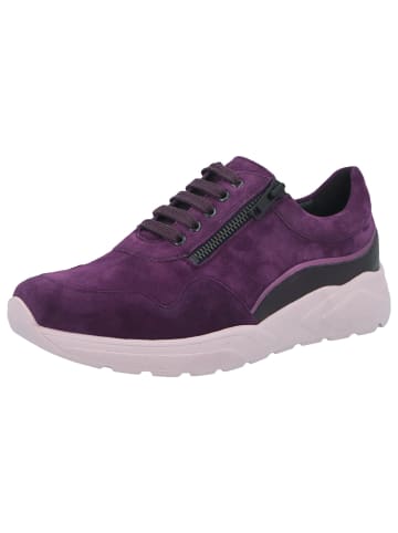Solidus Sneaker in lila