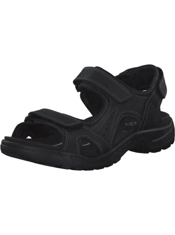 Ecco Sandaletten in Black/Black