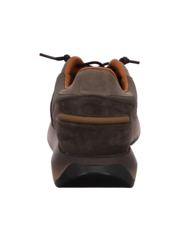 Cetti Sneaker in grün