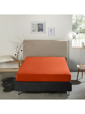 REDBEST Single-Jersey Boxspring-Spannbettlaken Denver in terra
