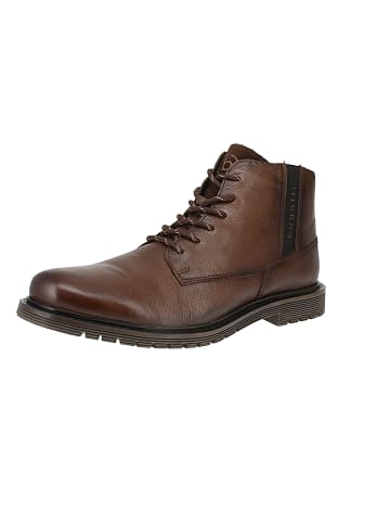 Bugatti Stiefeletten 325-ATE32-1000 XL in Braun