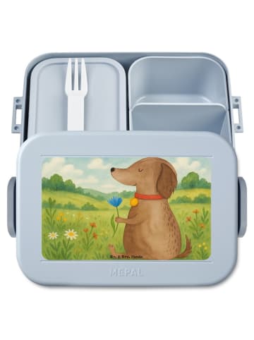 Mr. & Mrs. Panda Bento Box Hund Blume Design ohne Spruch in Blau Pastell