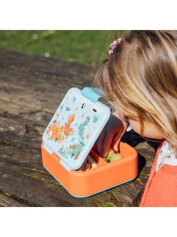 COFI 1453 Quokka Twist Kids Brotdose Doppelwand Kinder Lunchbox 4-Fächer in Mehrfarbig