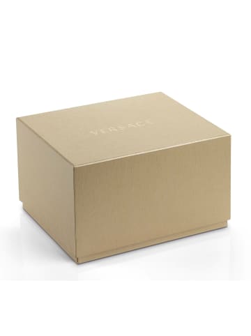 Versace Analoguhr für Herren in silber