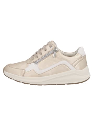 Solidus Damen- Schnürschuhe Kitty - Weite K in Beige
