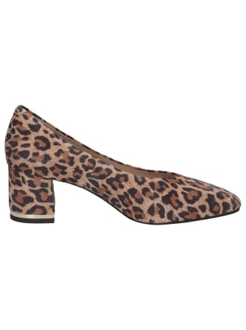 Caprice Pumps in LEO BEIGE