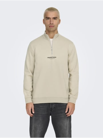 ONLY & SONS Sweatshirt in Silver Lining