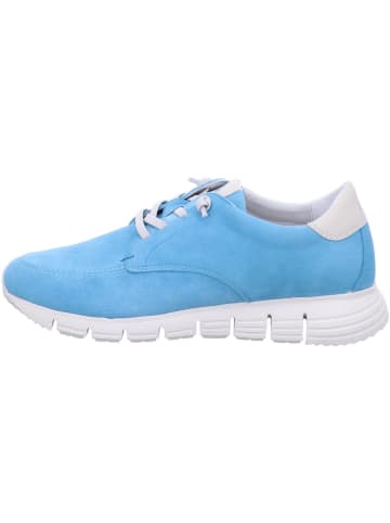 Sioux Sneaker Low in blau