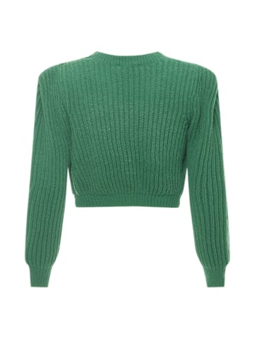 faina Pullover in GRÜN