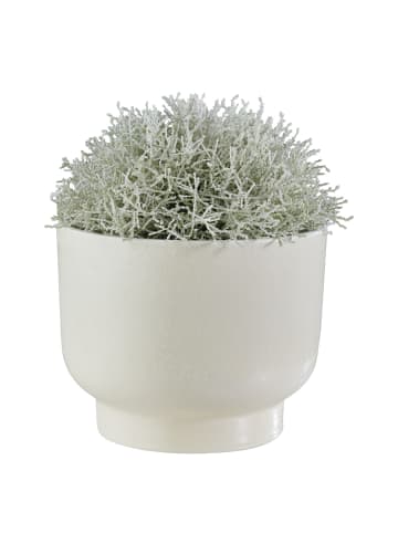 Butlers Blumentopf PLANT BOWL in Weiß