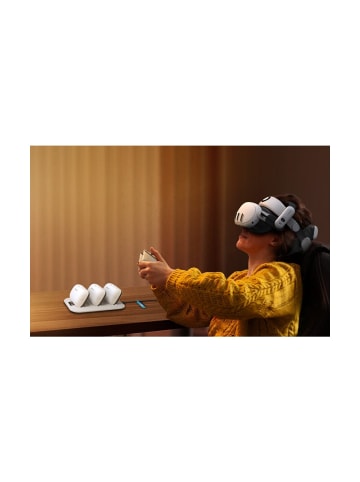 BOBOVR BD3 Ladestation für B100 Akkus