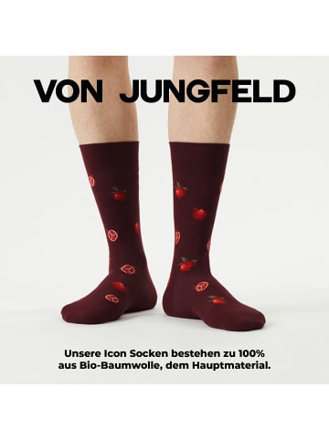 von Jungfeld Gemusterte Socken Best of Icons in Pomegranade Bordeaux Red