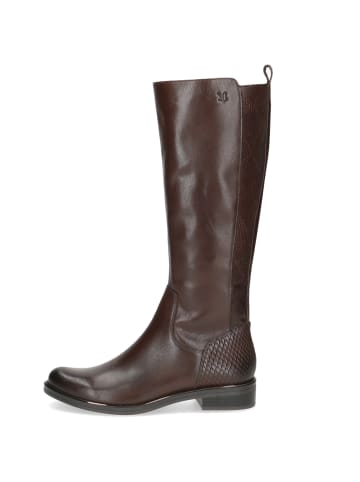 Caprice Schaftstiefel in braun