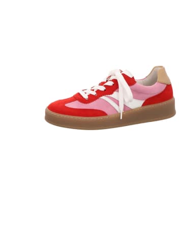 Gabor Comfort Sneaker Low in bunt