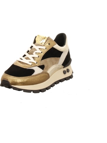 Floris van Bommel Sneaker Low in gold