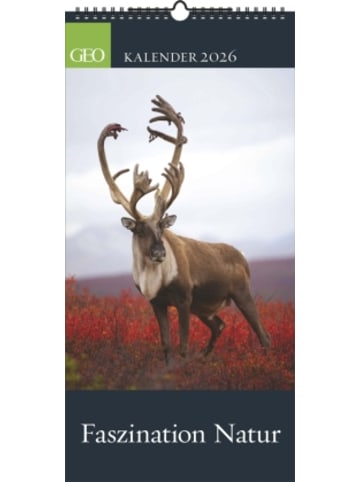 TeNeues Calendars & Stationery Kalender - GEO - Faszination Natur 2026 - Wandkalender 22x45 cm, 12 Monatsbl&au