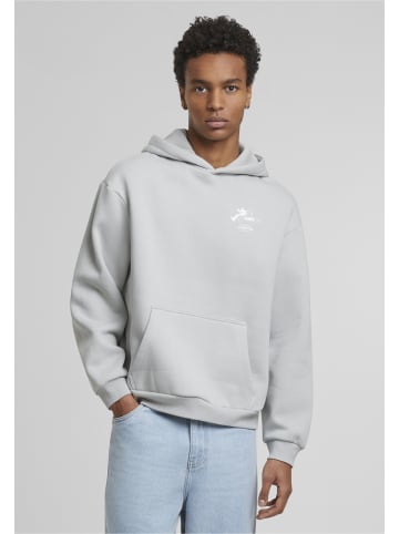 Mister Tee Sweat & Fleece - Hoody in lightasphalt