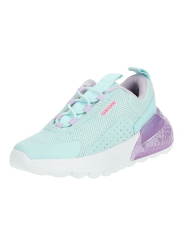 Geox Sneaker in Lila/Blau