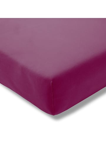 Estella Spannbetttuch Zwirn-Jersey in fuchsia