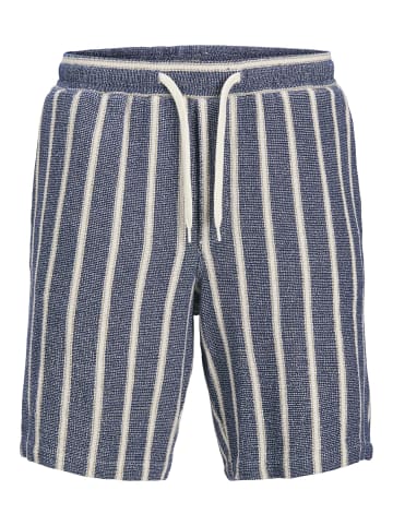 JACK & JONES PLUS Relaxed Fit Shorts in Ocean Cavern