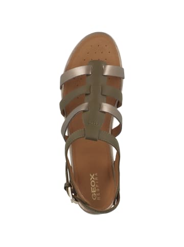 Geox Sandale D Sandal Vega A in gruen