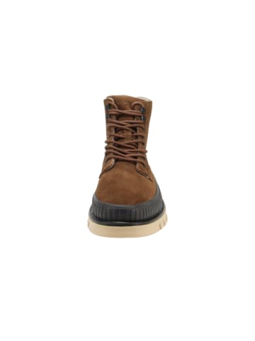 Gant Boots Nebrada in Braun