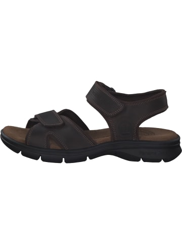 PANAMA JACK Klassische Sandalen in braun