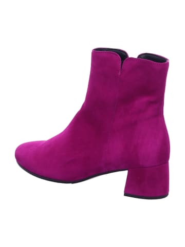 Gabor Schnürstiefelette in sonstige