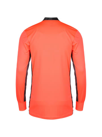 adidas Performance Torwarttrikot AdiPro 20 in orange / schwarz