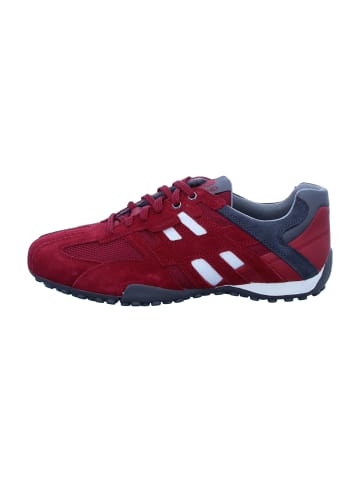 Geox Sportliche Schnürschuhe in Rot