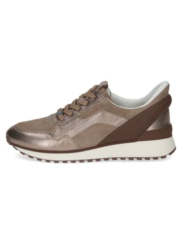 Caprice Sneaker Low in Beige