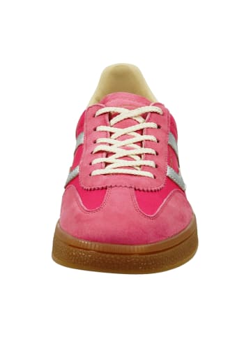 Gant Sneaker Low in Pink