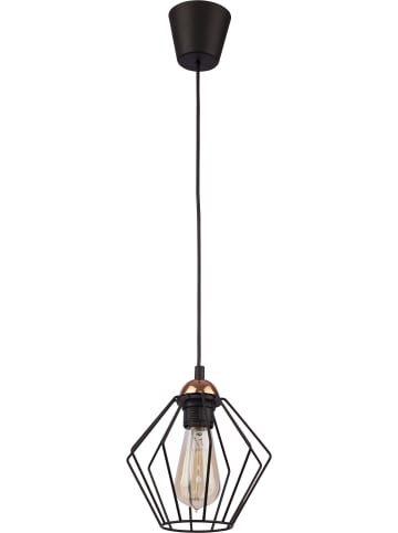 Licht-Erlebnisse Pendelleuchte (B)20 x (L)20 x (T)100 cm in Schwarz Kupfer