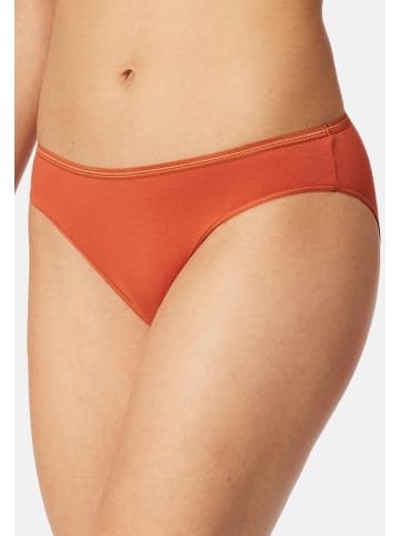 Schiesser Tai Slip Modal Essentials in Mehrfarbig